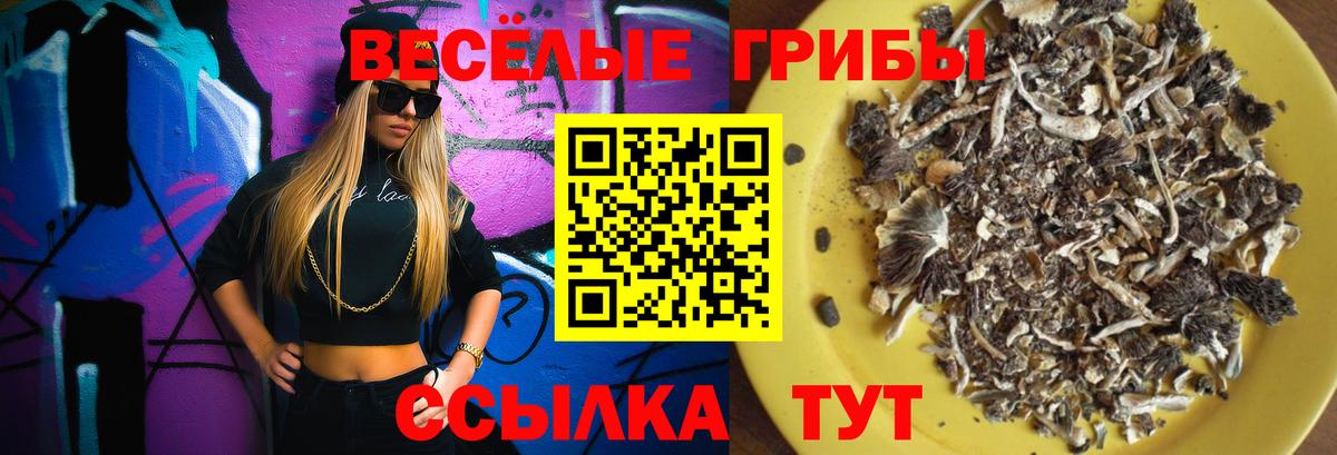 Галлюциногенные грибы мухоморы Туапсе