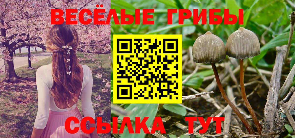 Галлюциногенные грибы MAGIC MUSHROOMS  Вход с VPN  Псилоцибиновые грибы Cubensis  Туапсе 