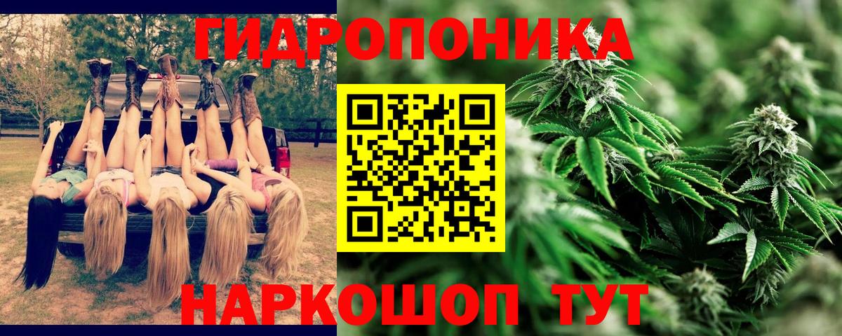 Бошки Шишки OG Kush Туапсе